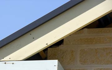 Brightside fascia repairs