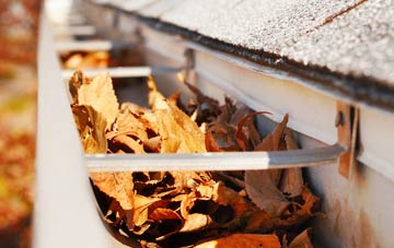 Brightside gutter cleaning companies