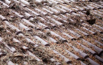 Brightside roof cleaning companies